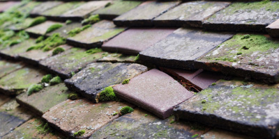 Westcliff On Sea roof repair costs